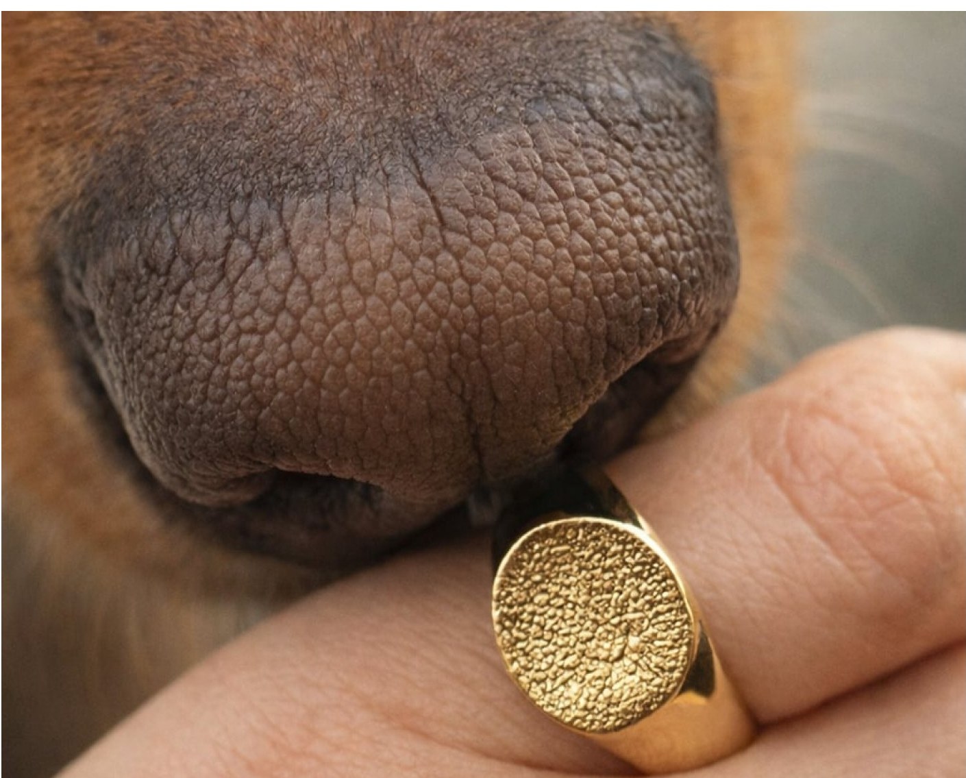 Leaving a fingerprint
