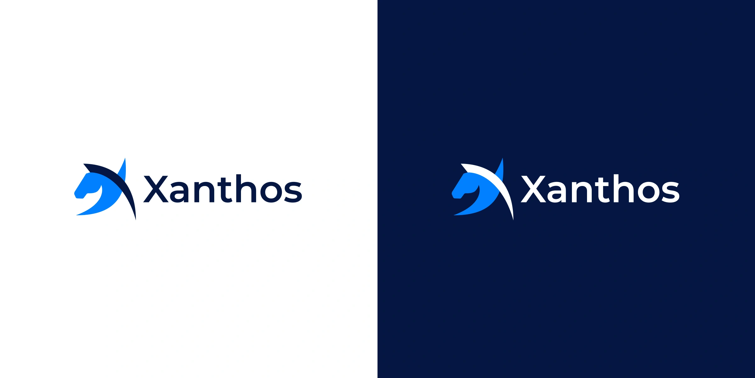Xanthos logo on light and on navy